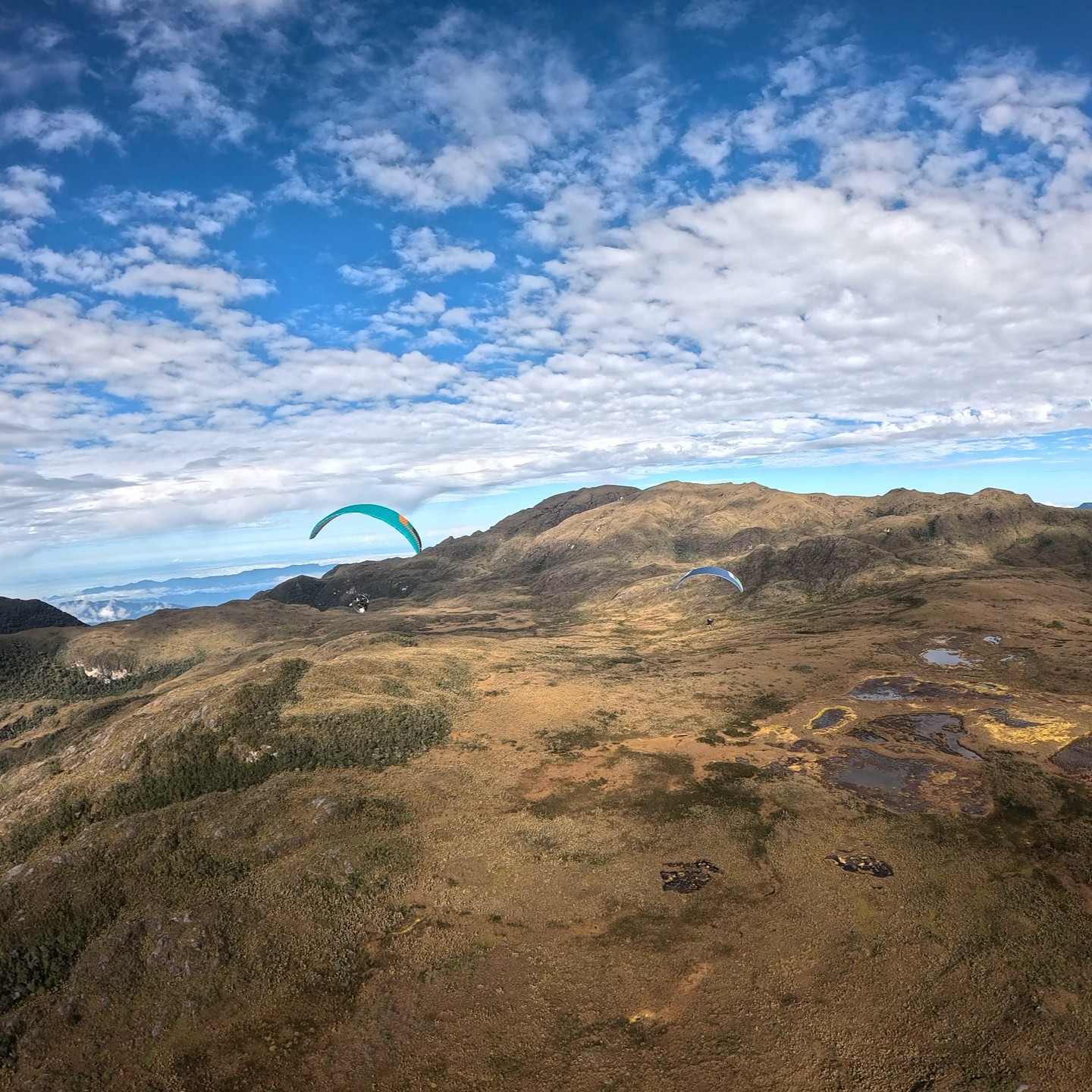 Proyecto científico Páramos 2025, descubrimiento de nuevas especies de mariposas en los Andes Colombianos con paramotor